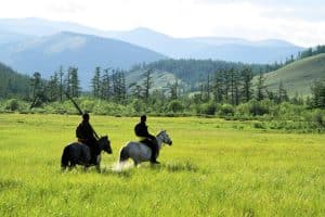 conseils avant partir en Mongolie
